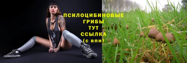 PSILOCYBIN Нея