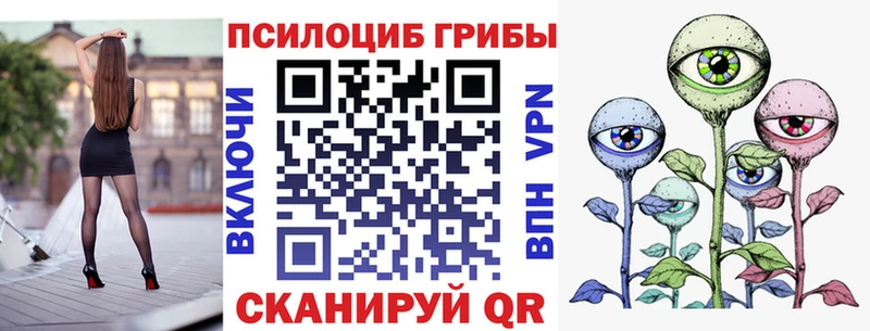 Псилоцибиновые грибы Psilocybine cubensis  Смоленск 